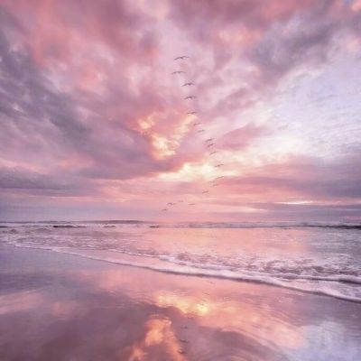 加拿大pc入口app下载