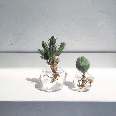 b体育官方app下载app下载