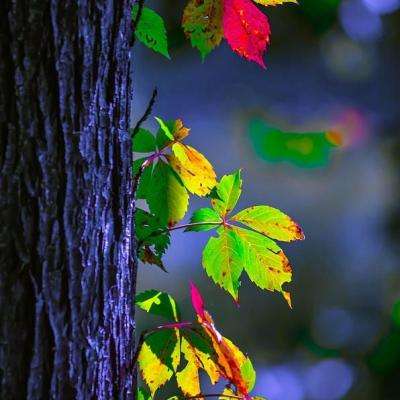 pg电子娱乐官网游戏手机app下载