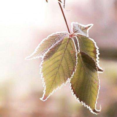 kaiyun登录入口登录