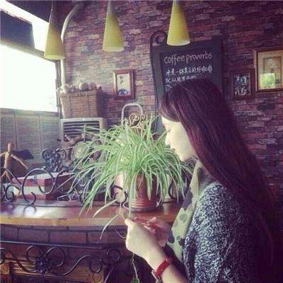 乐享8214CC官方下载